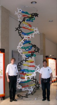 [DNA-Helix (5m)]
