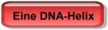Eine DNA-Helix